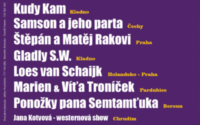 Valdecký háj – nadační country festival