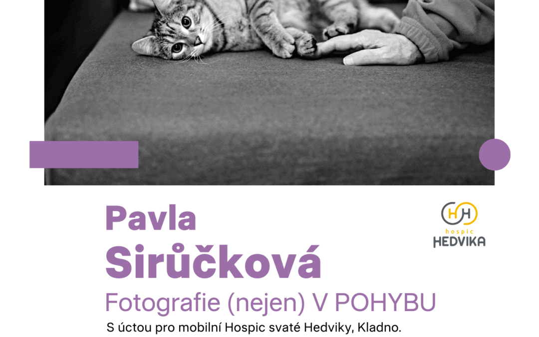 V pohybu – fotografie Pavly Sirůčkové