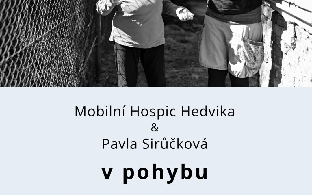 Výstava a vernisáž – V pohybu